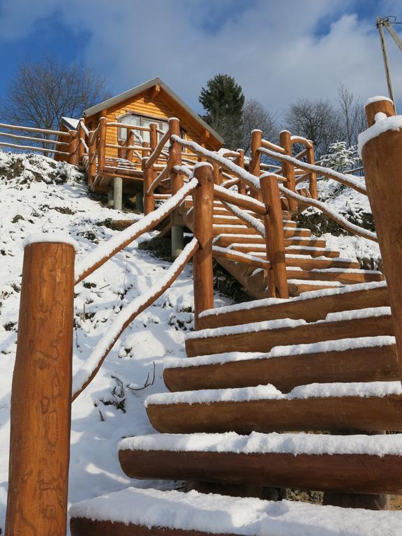 Cottage Goyra Yaremche Luaran gambar